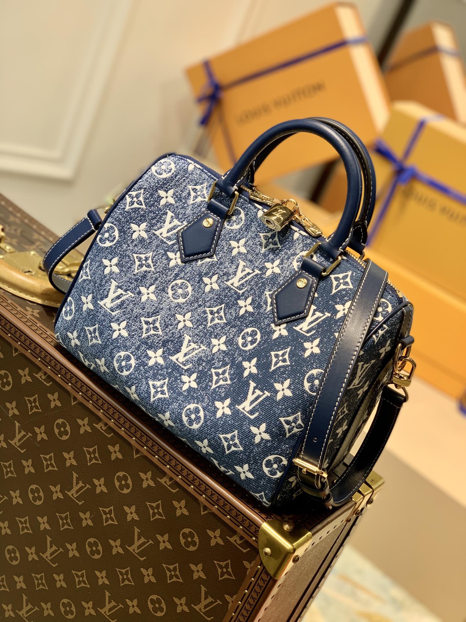 l0*is V*t0n speedy 25-25*19*15cm