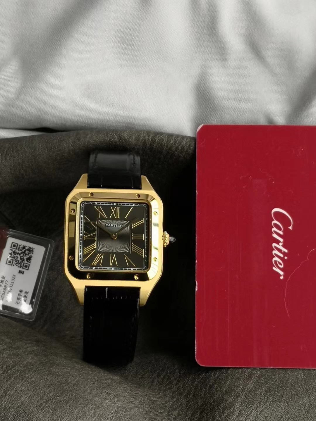 Ca*t*er watch