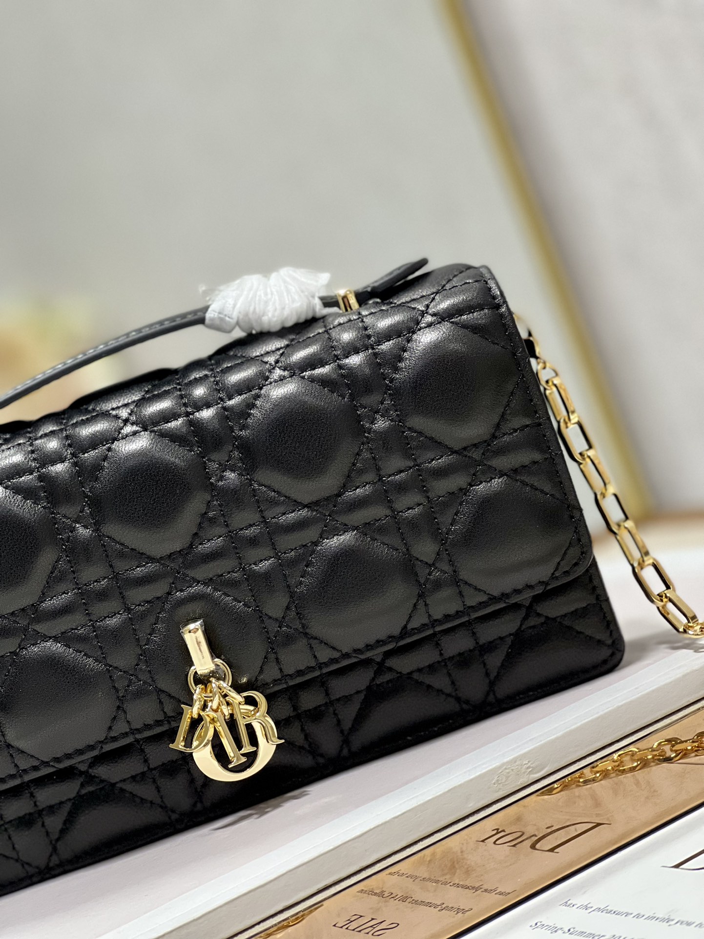 lady D*or bag-21 x 11.5 x 4.5ccm