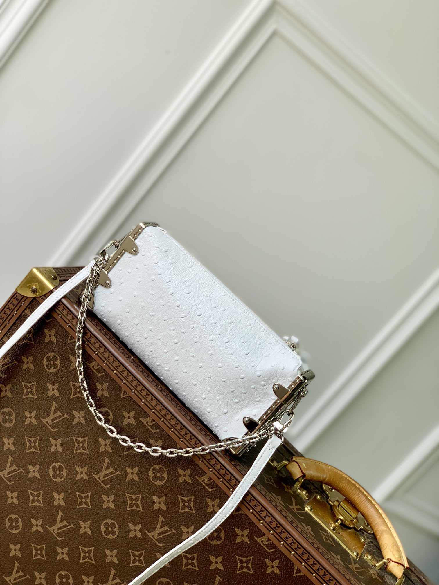 l0*is V*t0n slim trunk--m25445-23 x 12 x 4cm
